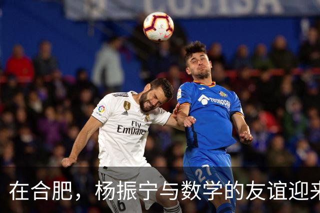 在合肥，杨振宁与数学的友谊迎来新篇章