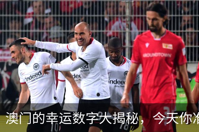 澳门的幸运数字大揭秘，今天你准备好了吗？